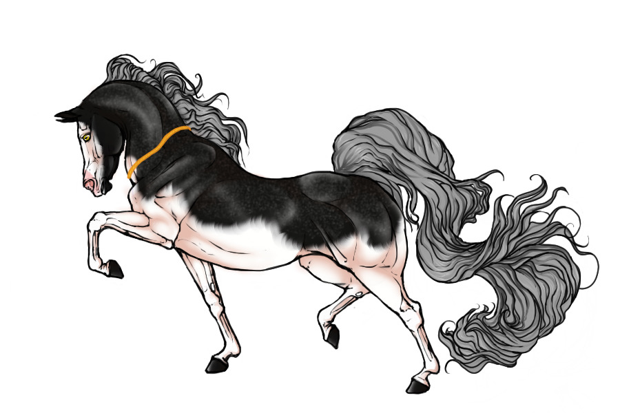 #0042 Silver Dappled Black Splash Paint with Blaze