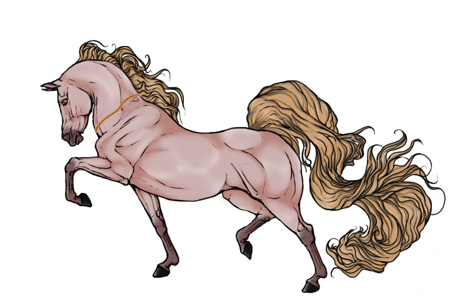 #0043 Smoky Cream Black