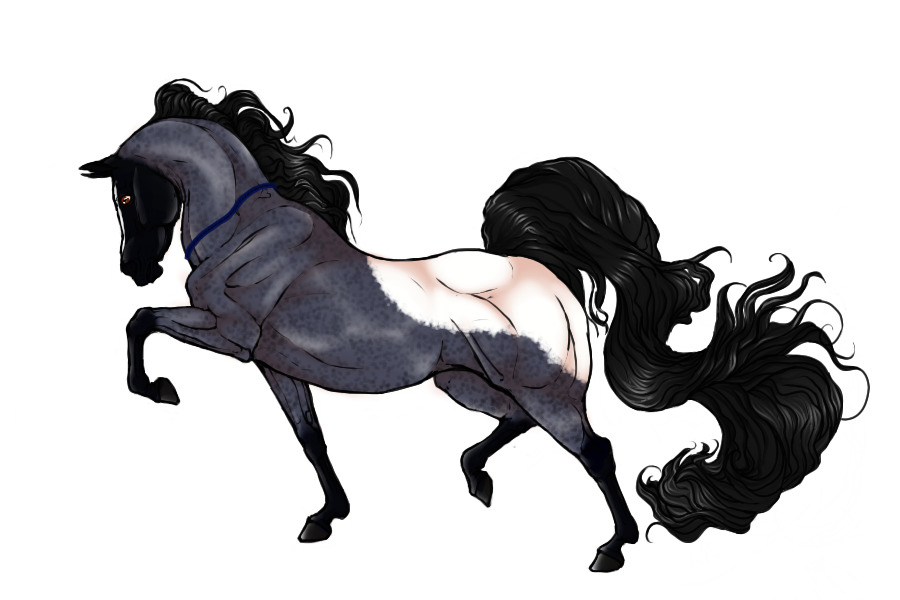 #0057 Sooty Blue Roan Snowflake Blanket Appaloosa