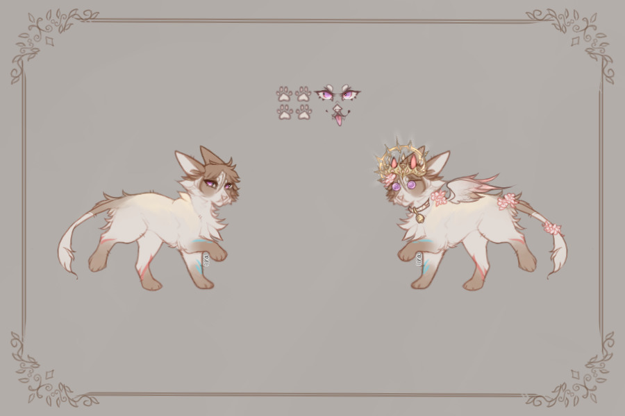 for Dogboss123