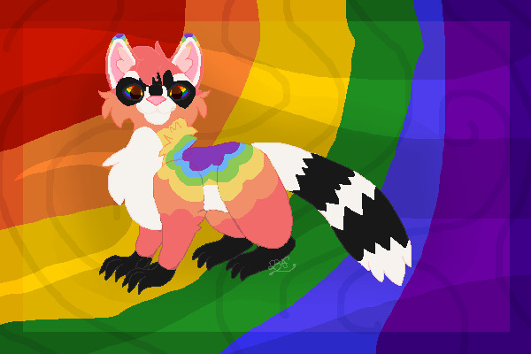 Gay Racoon