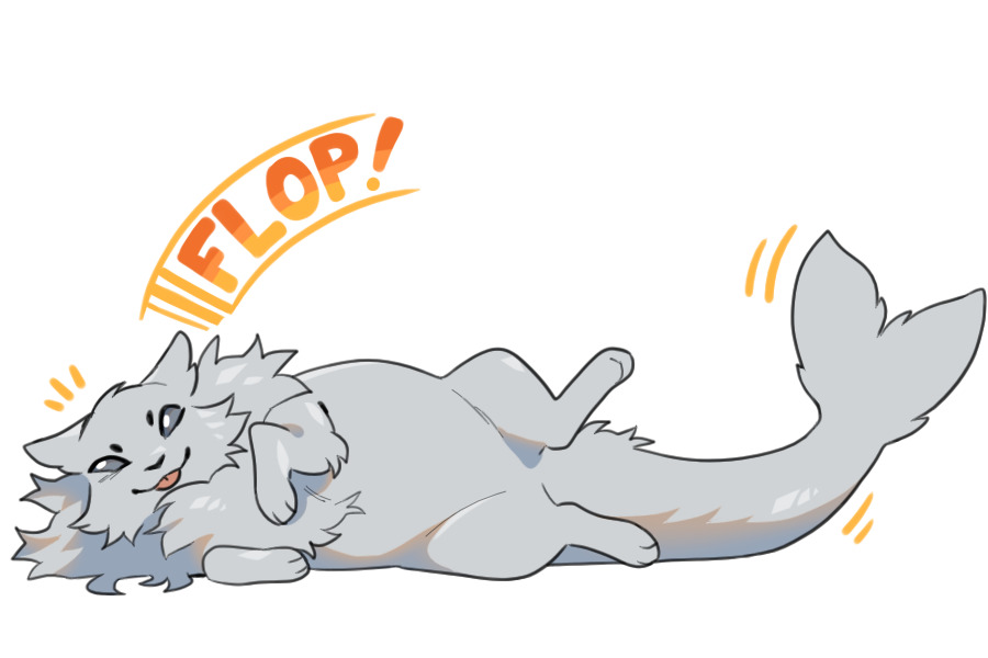 pinnipaw - flop