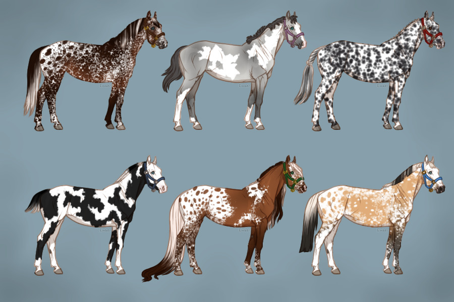 Horse Adopts
