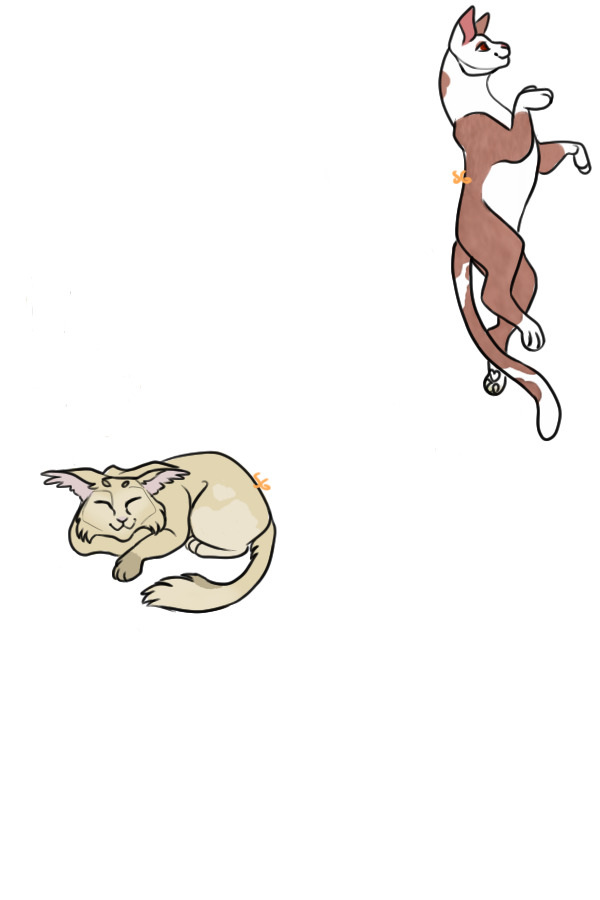 Cats