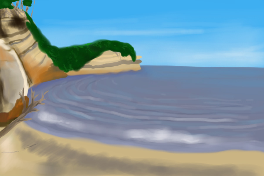 RT Beachcombing - Estuary Biome