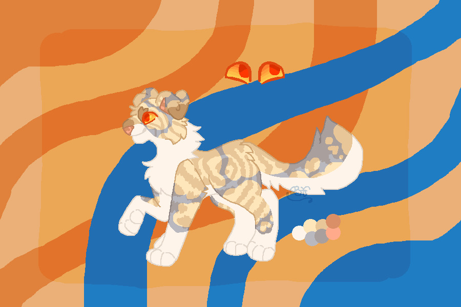 dilute torbie