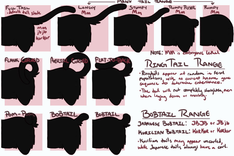 Trait Guide: Tail Variations