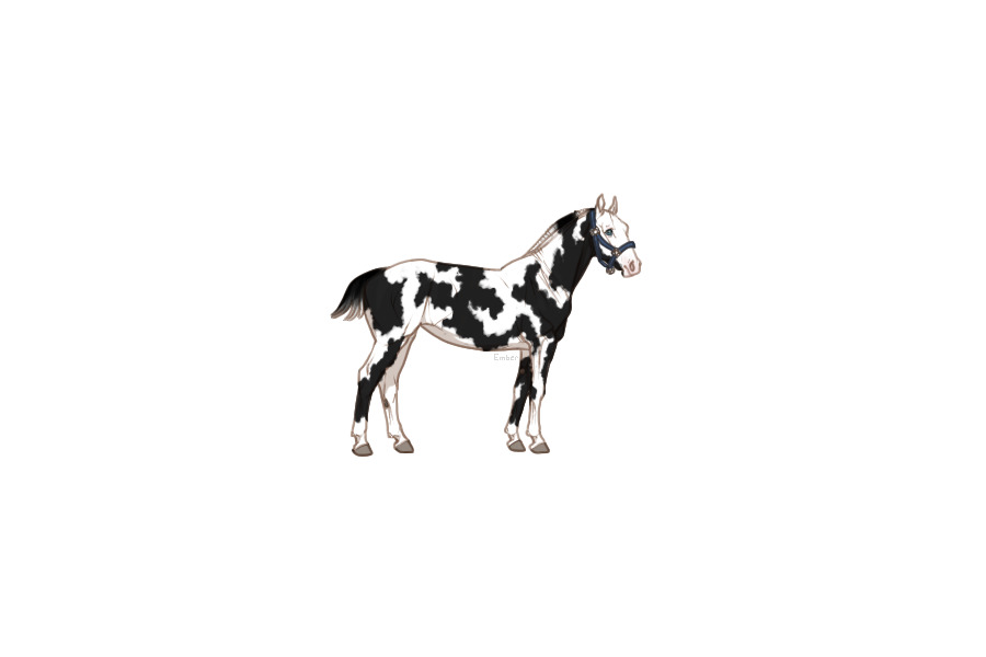 last transparent