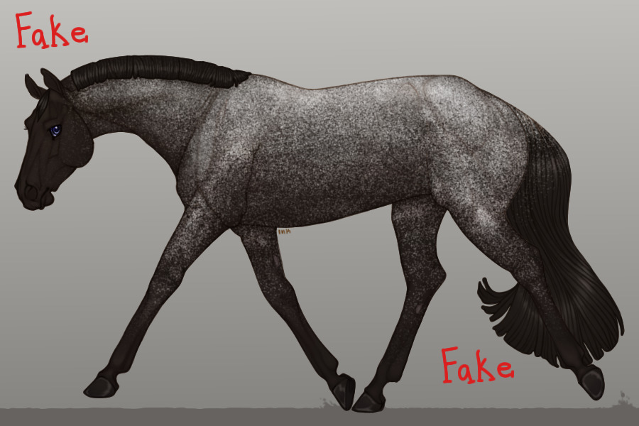 Pine Valley QH - Guest Artist Entry #4