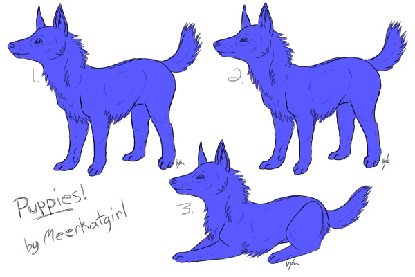 Puppies!