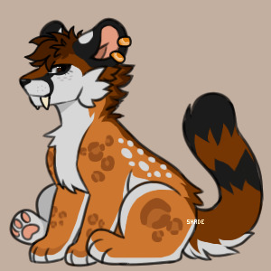 New Sona?