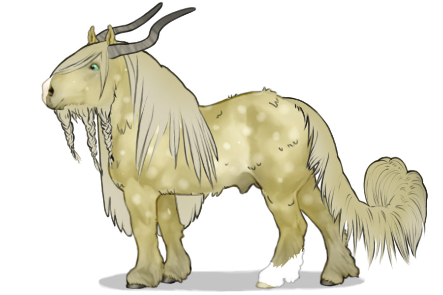 arctic drafts #009 - without background