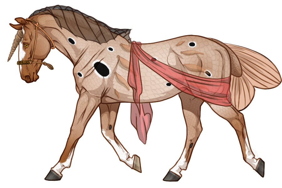 Range Trotter #SV012