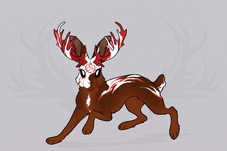 Skjorae myo