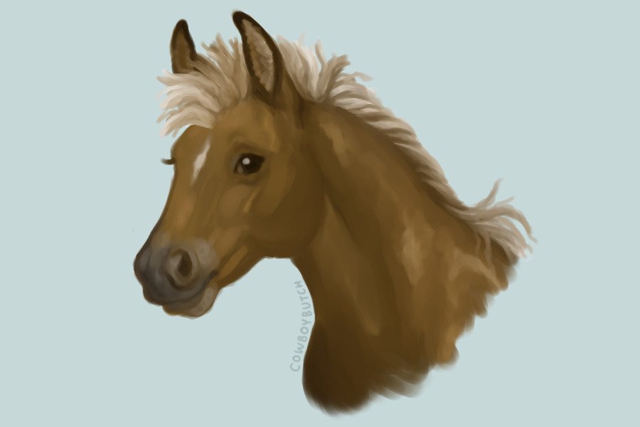 Brown Horsey