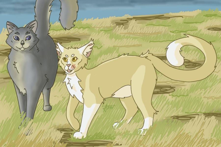 Artfight #2 - Sunpaw & Moonblaze