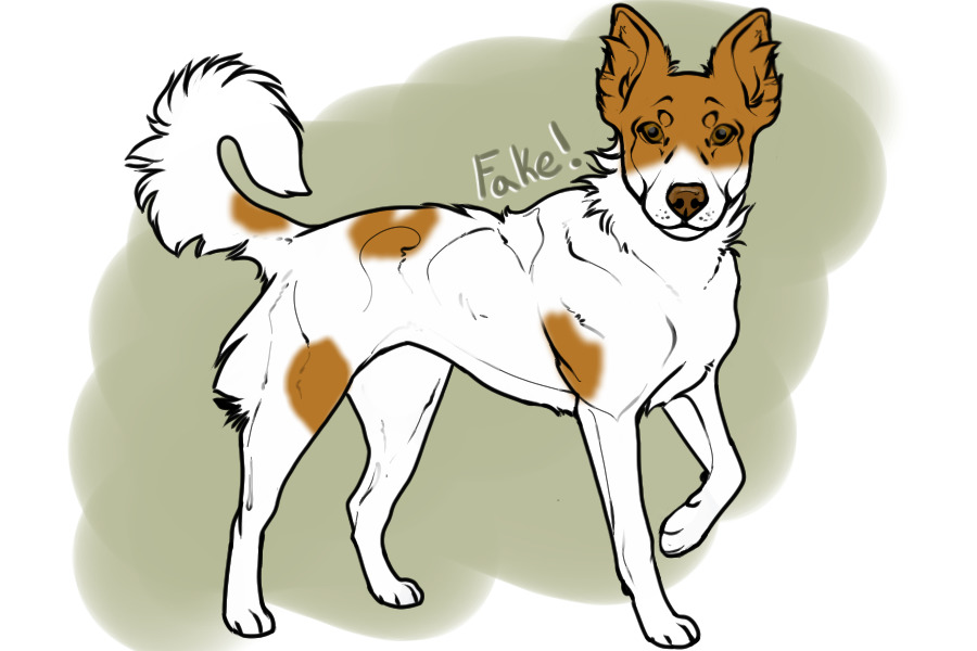 Beaumont Collie Entry