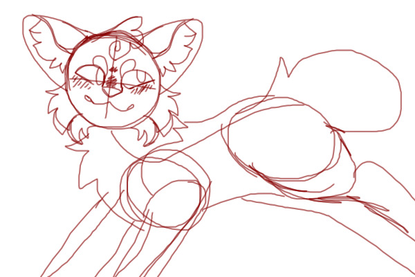 kittty
