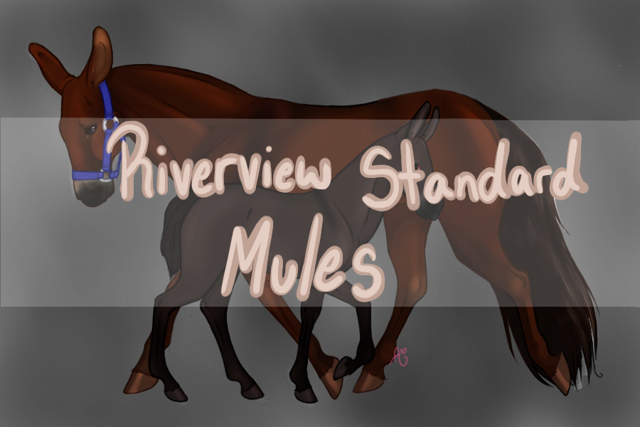 Riverview Standard Mules - OPEN
