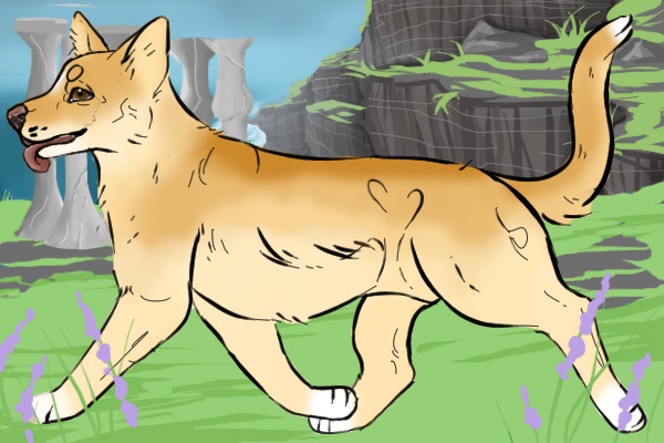 Irish Shepherd No. 020