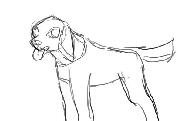 Sketcg