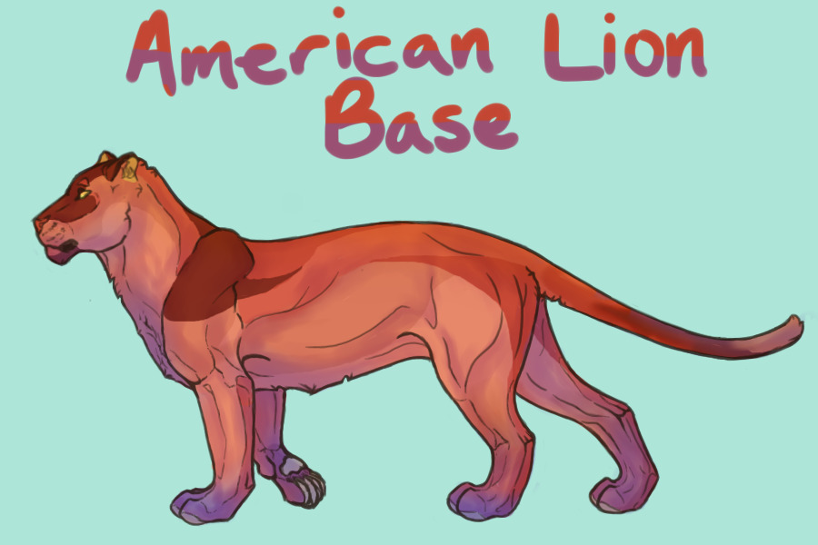 American lion!!