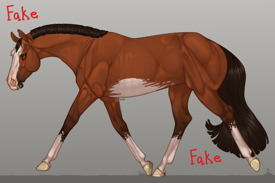 Pine Valley QH - Guest Artist Entry #5