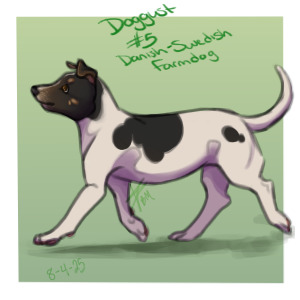 doggust day 5: Danish-Swedish Farmdog