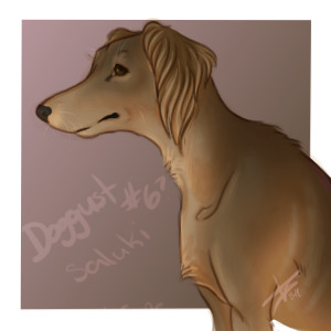 Doggust: day 6 saluki
