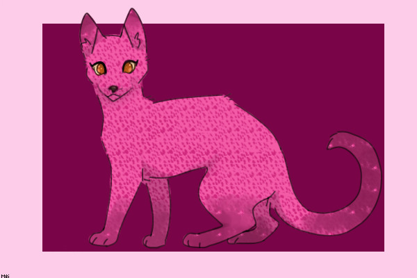 Kitty