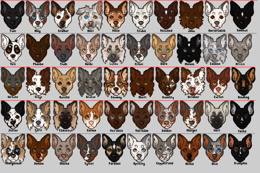 Collie family tree heads