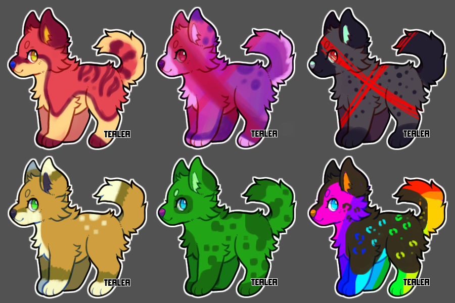 Puppy adopts