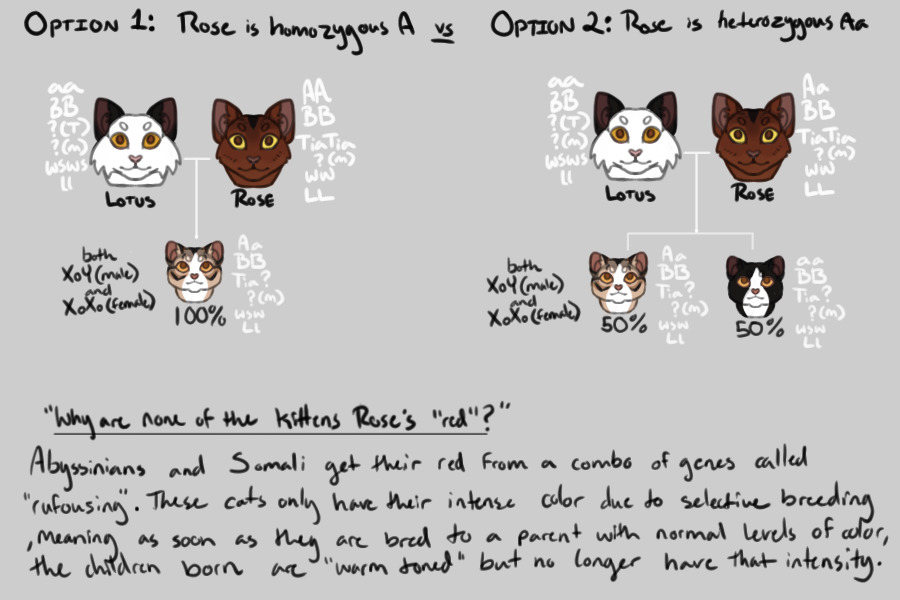 Answer for Spiritstar3