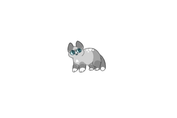 Kitty!!