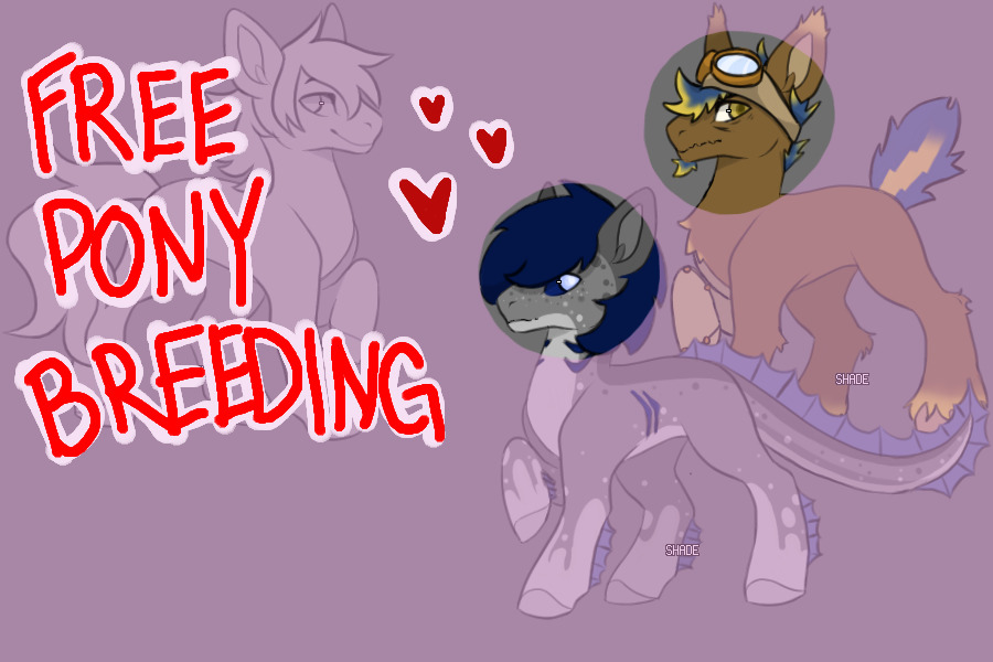 [OPEN] Free Pony Breedings