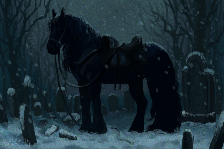 Oh, Where is Your Rider?