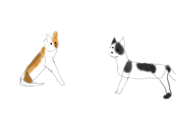 Messenger From Another Clan