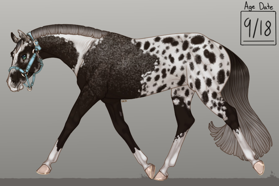 PVQH Breeding #007
