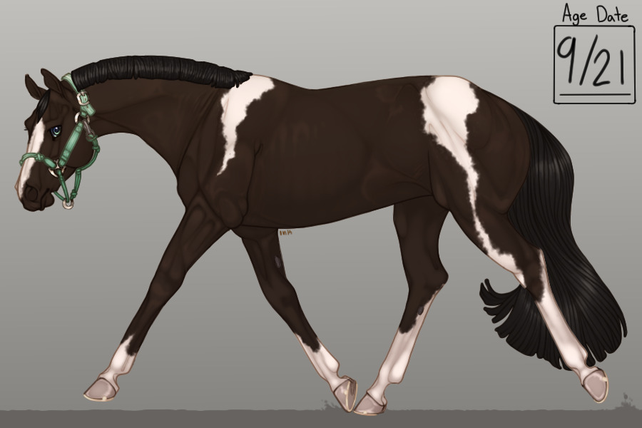 PVQH Breeding #0011