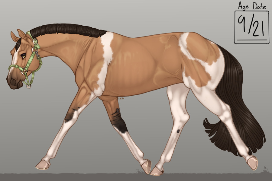 PVQH Breeding #0014