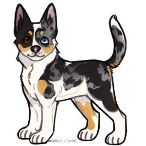Stillehond #005