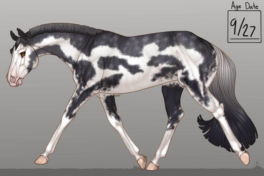 PVQH Breeding #0020