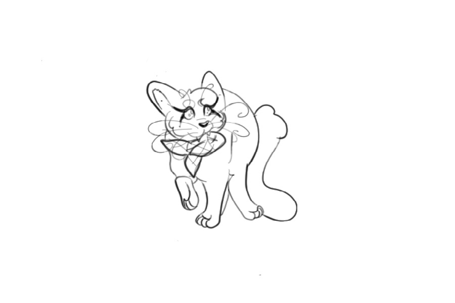 Cat!