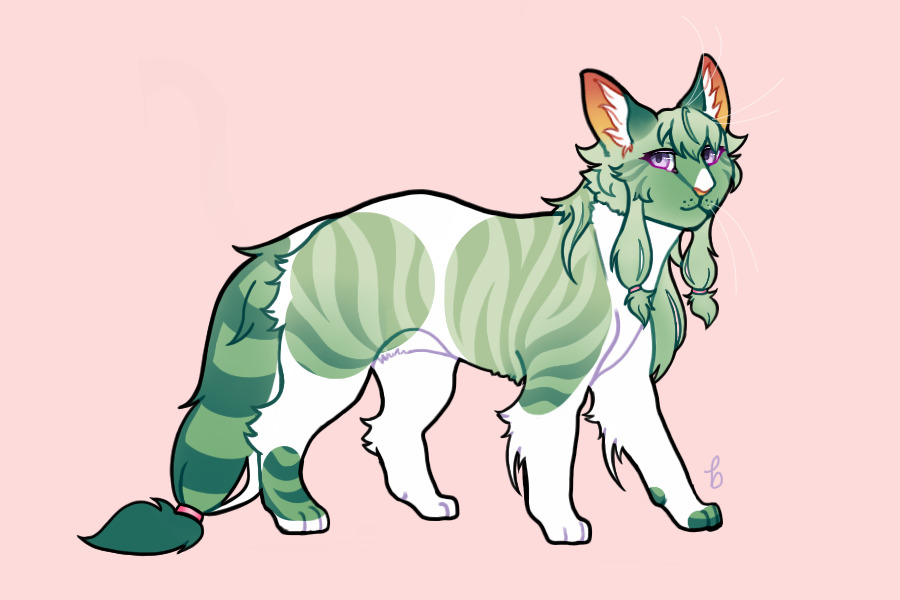 no accessories/companions