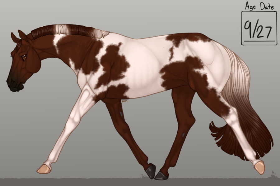 PVQH Breeding #0021