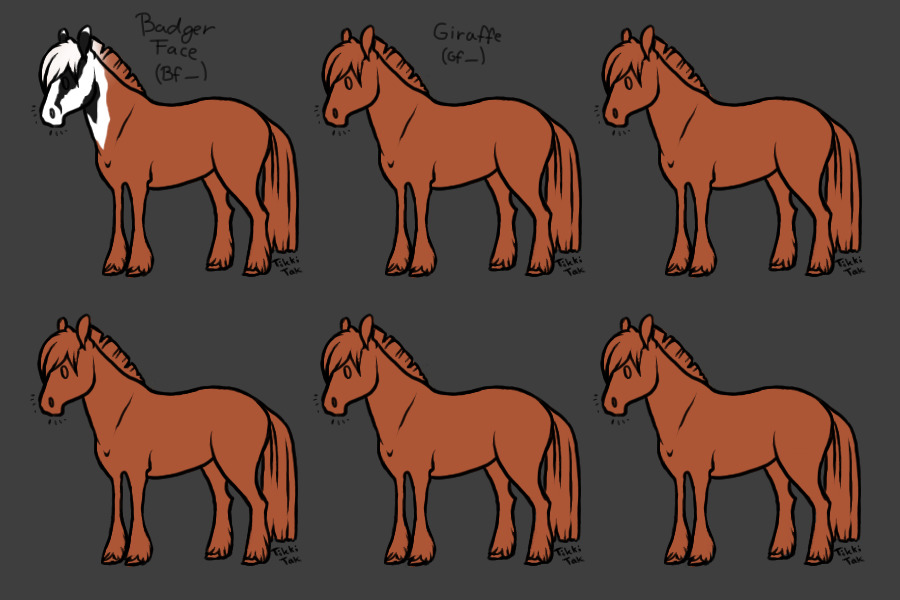 Timberwood Marking Guide #4 Zoo Event