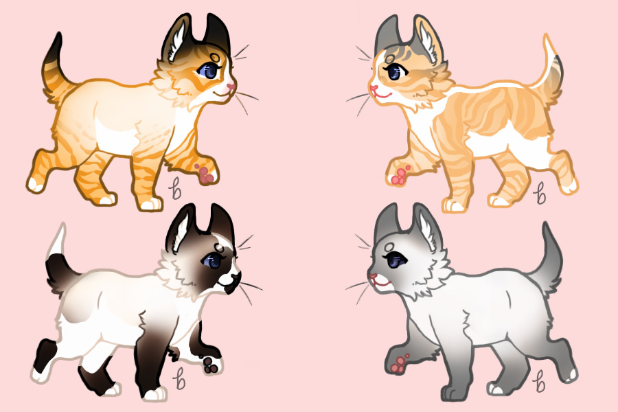 Stars Breeding #1030 | Daisy x Starscream