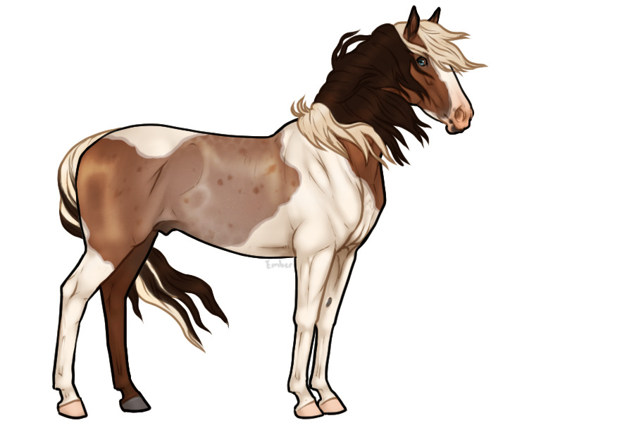 Tobiano Bay Roan with Cornmarks