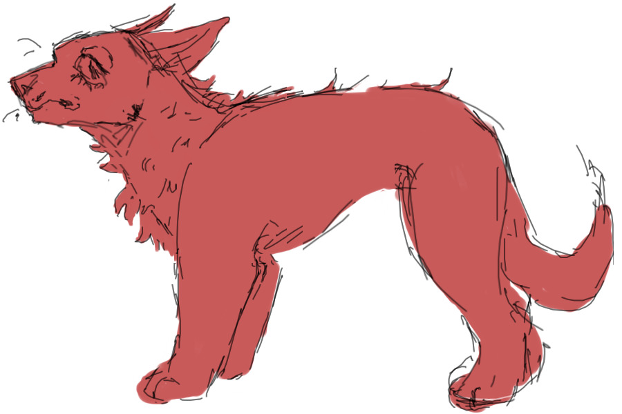 wolfy