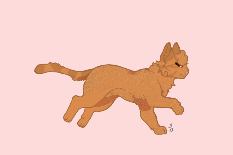 Stars Breeding #996 | Kit 1 | Growth 1